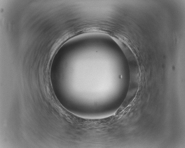 X0000065240289200602171431