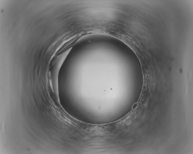 X0000065240290200602171431