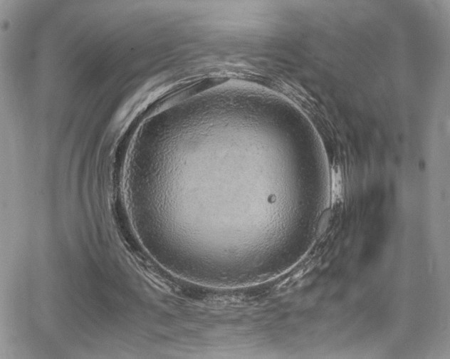 X0000065240291200602171431