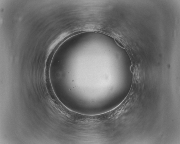 X0000065240292200602171431