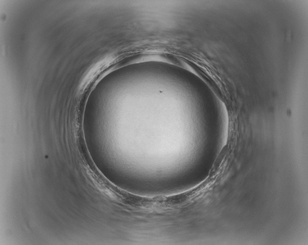 X0000065240293200602171431