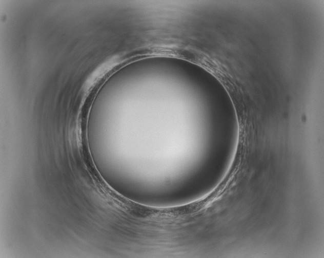 X0000065240294200602171431