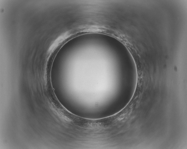 X0000065240296200602171431