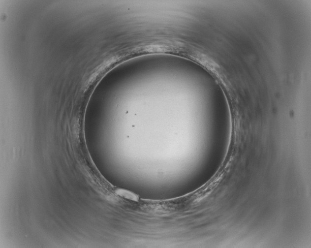 X0000065240297200602171431