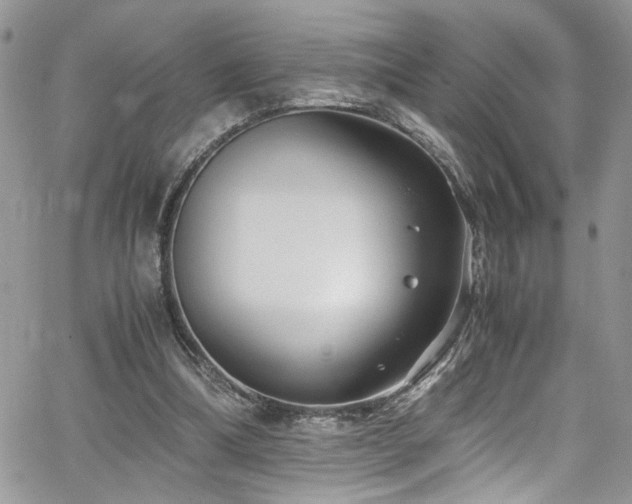 X0000065240298200602171431