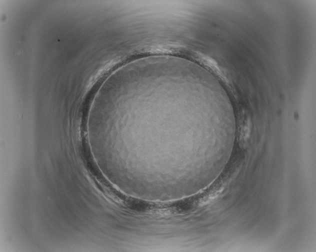 X0000065240299200602171431