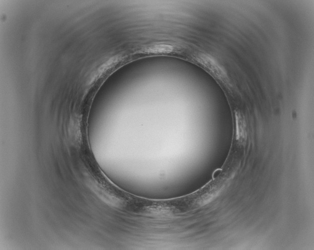 X0000065240300200602171431