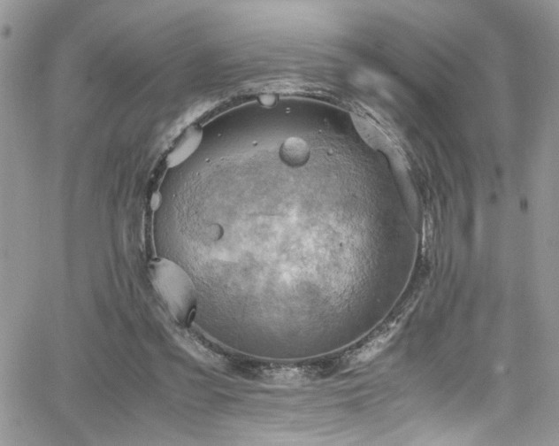 X0000065240301200602171431