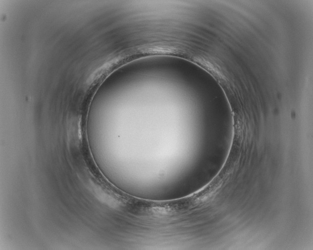 X0000065240302200602171431