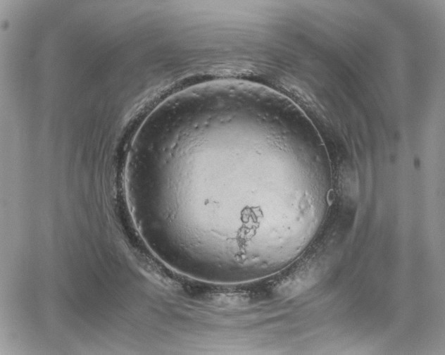 X0000065240303200602171431