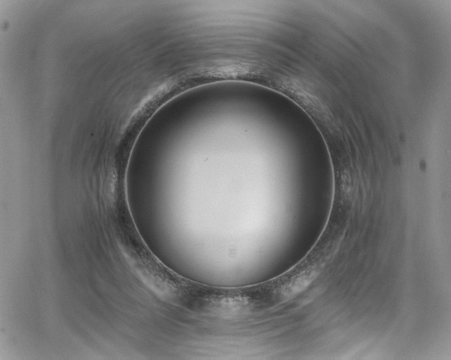 X0000065240304200602171431