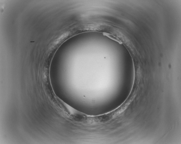 X0000065240305200602171431