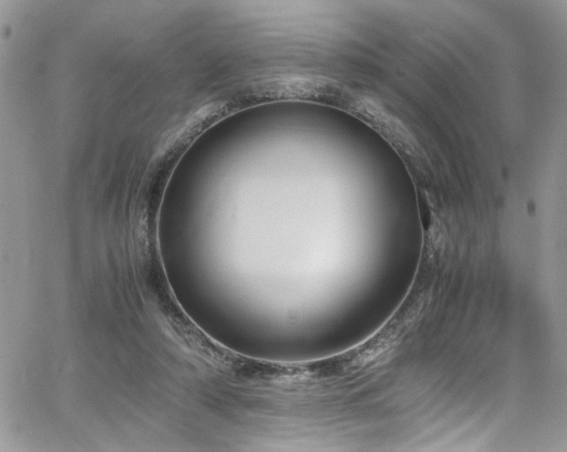 X0000065240306200602171431