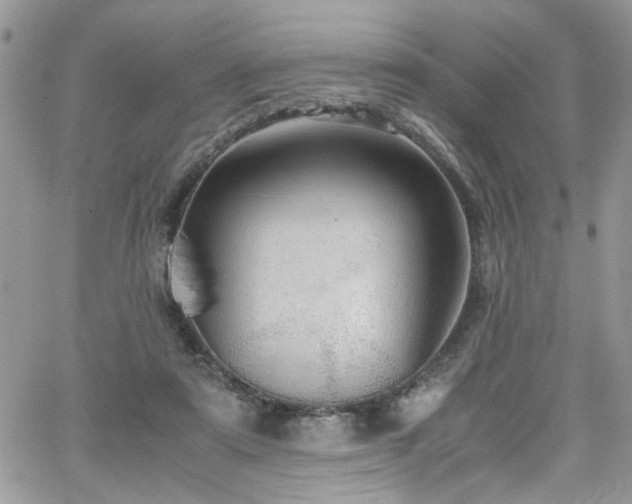 X0000065240307200602171431