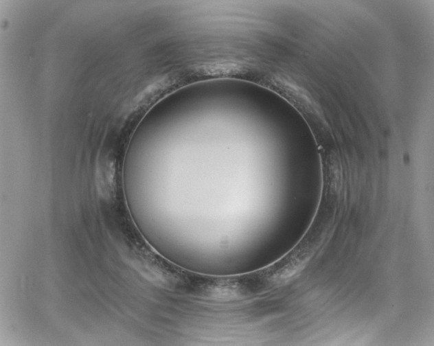 X0000065240308200602171431