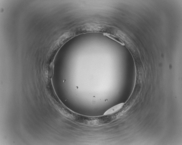 X0000065240309200602171431