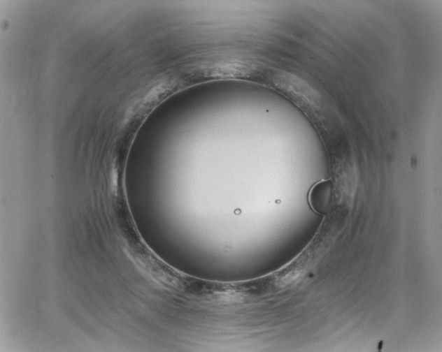 X0000065240310200602171431