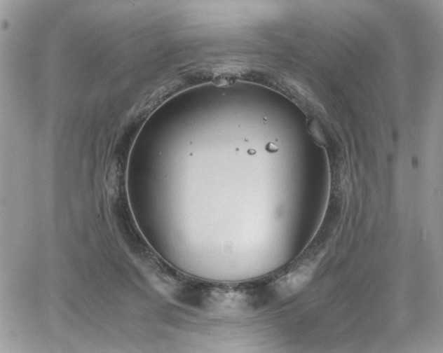 X0000065240311200602171431