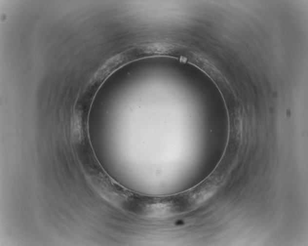 X0000065240312200602171431