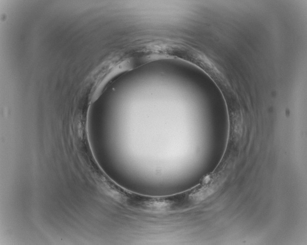 X0000065240313200602171431