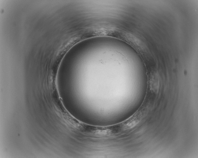 X0000065240314200602171431