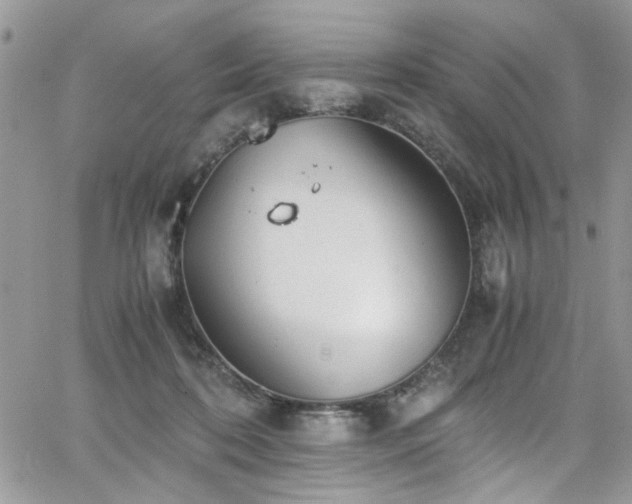 X0000065240316200602171431