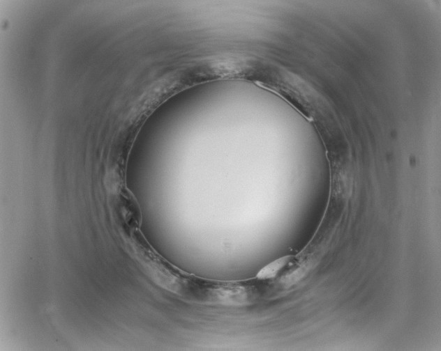 X0000065240317200602171430