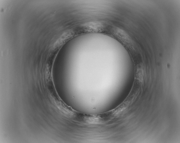 X0000065240318200602171430