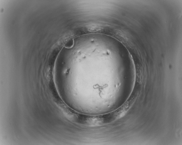 X0000065240319200602171430