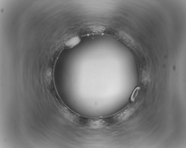 X0000065240321200602171430