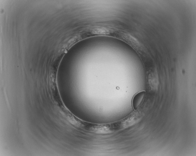 X0000065240322200602171430