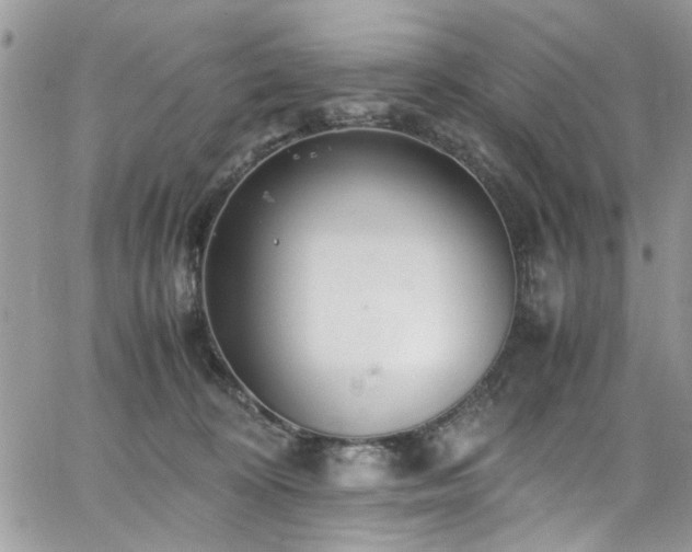 X0000065240324200602171430