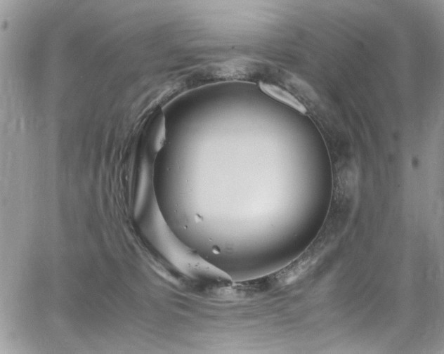 X0000065240325200602171430