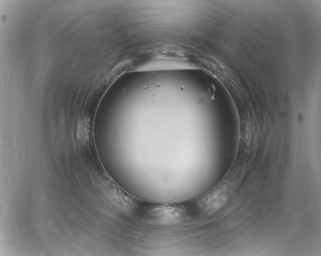 X0000065240326200602171430