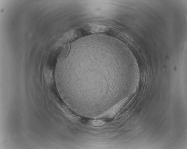 X0000065240327200602171430