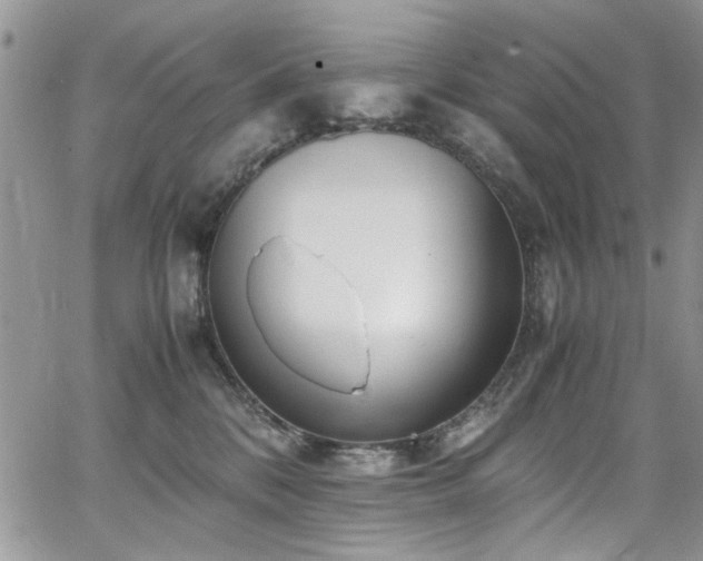 X0000065240328200602171430