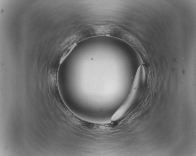 X0000065240329200602171430