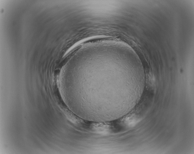 X0000065240331200602171430