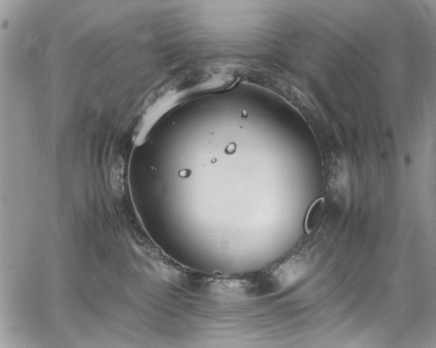 X0000065240332200602171430