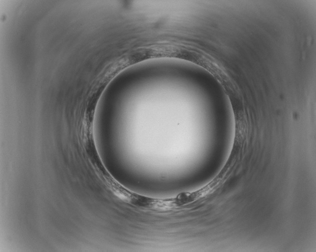 X0000065240333200602171430