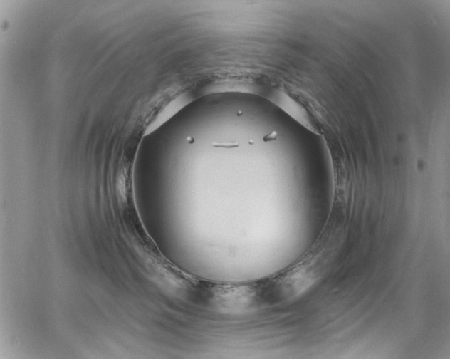 X0000065240334200602171430