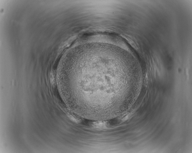 X0000065240335200602171430