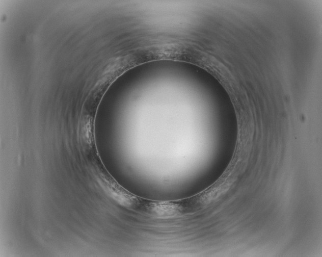 X0000065240336200602171430