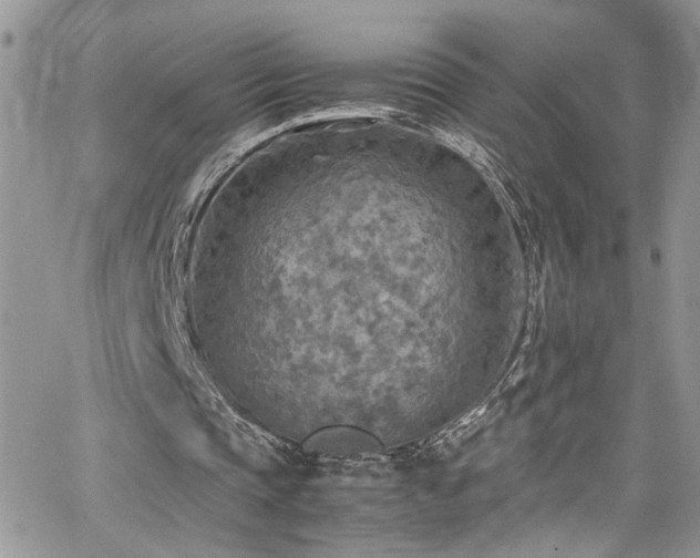 X0000065240337200602171429