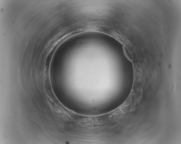 X0000065240338200602171429