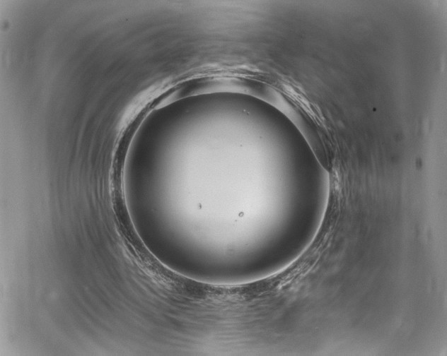 X0000065240340200602171429