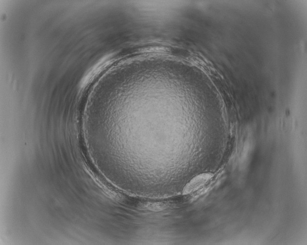 X0000065240341200602171429