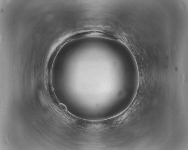 X0000065240342200602171429