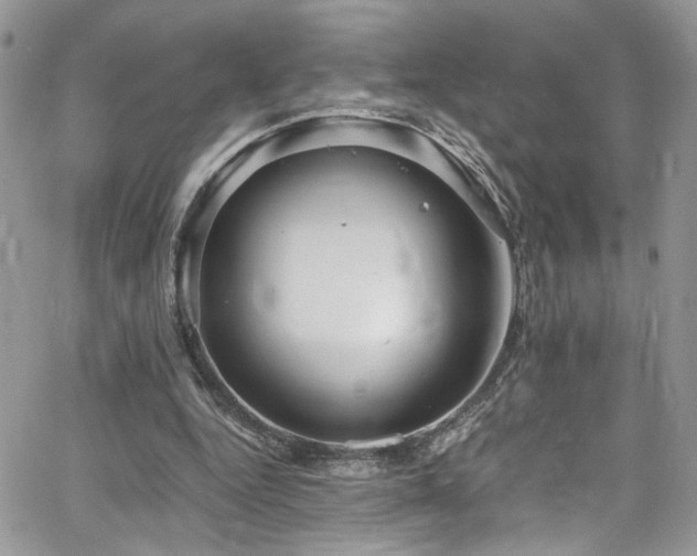 X0000065240344200602171429