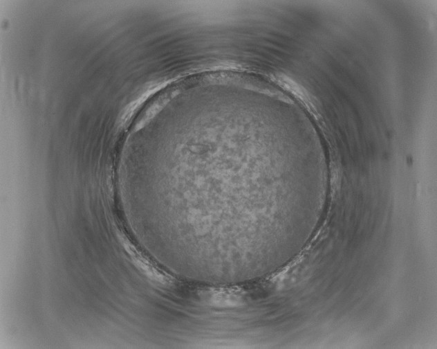 X0000065240345200602171430